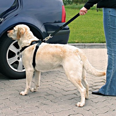 TRIXIE Safety Belt  for Dogs Ремни безопасности для собак, шлейка + ремень (размер M) - фото3