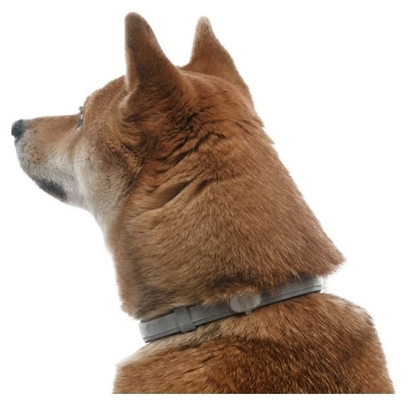 ФОРЕСТО (Foresto) Антипаразитарный ошейник для собак средних и крупных пород (70 см) Bayer-Elanco (Имидоклаприд + флуметрин) - фото5
