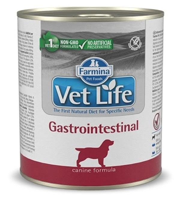 VET LIFE Dog Gastrointestinal (баночка 300 г) - фото