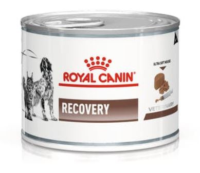 ROYAL CANIN Recovery Canine & Feline (банка 195 г) - фото