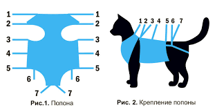 Попона ТАЛИСМЕД послеоперационная для кошек (малая) - фото2