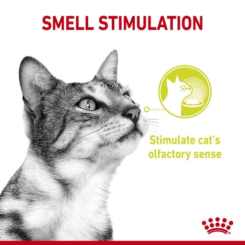 ROYAL CANIN Sensory Smell in Jelly (85 г) Запах - фото2