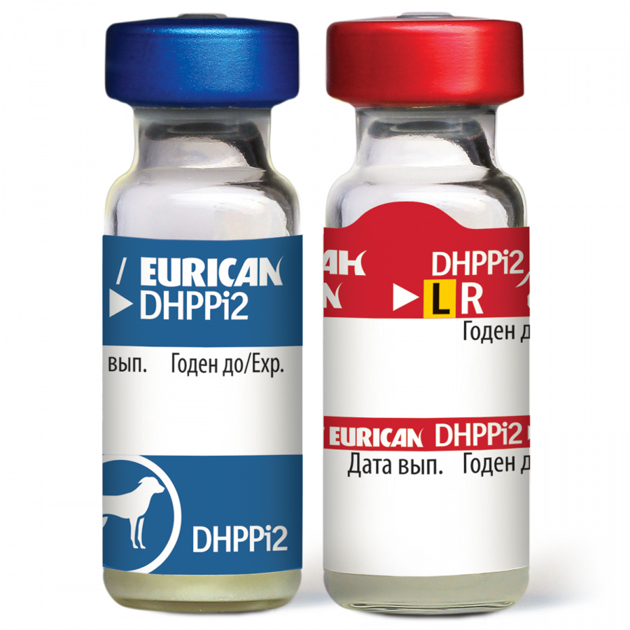 ЭУРИКАН DHPPi+LR (EURICAN) Вакцина для собак, 2 фл.=1 доза Merial - Boehringer (09.11.2024 срок годности) - фото