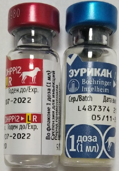 ЭУРИКАН DHPPi+LR (EURICAN) Вакцина для собак, 2 фл.=1 доза Merial - Boehringer (09.11.2024 срок годности) - фото3