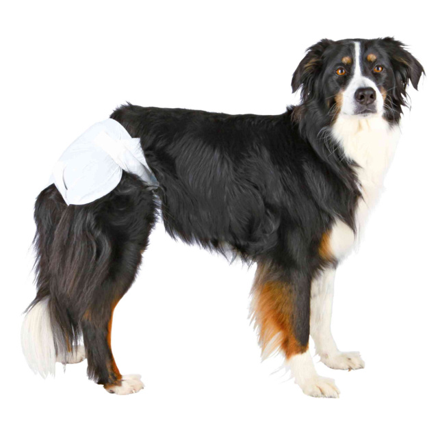 TRIXIE Dog Diapers Подгузники для собак, размер M-L (12 шт) - фото2