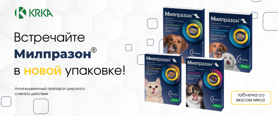 МИЛПРАЗОН® (Milprazon) Антигельминтик для котят и молодых кошек (2 табл) KRKA (Мильбемицин + празиквантел) - фото3
