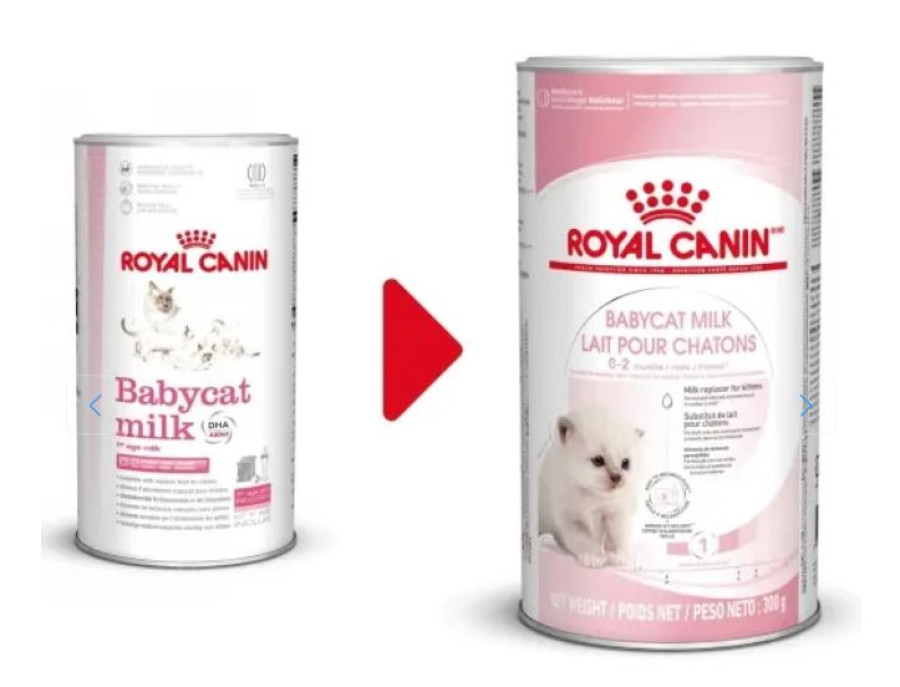 ROYAL CANIN BabyCat Milk (300 г) заменитель кошачьего молока - фото2