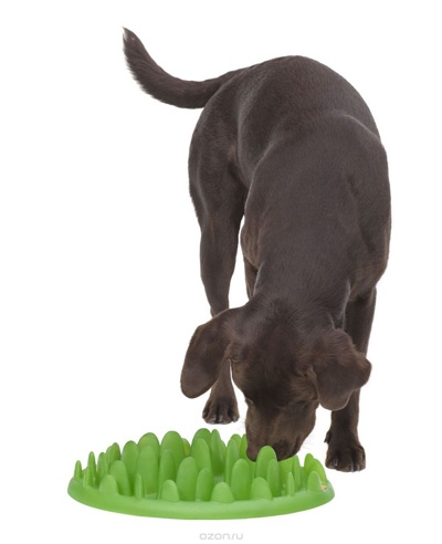 NORTHMATE GREEN Миска интерактивная для собак, зеленая - фото
