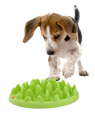 NORTHMATE GREEN MINI Миска интерактивная для щенков и мелких собак, зеленая - фото