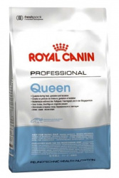ROYAL CANIN Queen 34 (4 кг) для беременных и кормящих кошек - фото