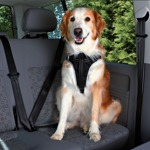 TRIXIE Dog Protect Car Harness XL Шлейка с ремнями безопасности 80-100 см/25 мм - фото