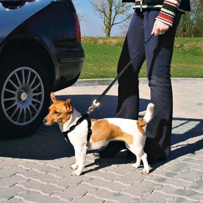 TRIXIE Safety Belt  for Dogs Ремни безопасности для собак, шлейка + ремень (размер S) - фото2