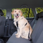 TRIXIE Safety Belt for Dogs Ремни безопасности для собак, шлейка + ремень (размер XL) - фото
