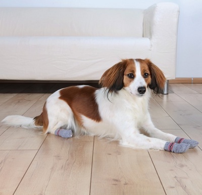TRIXIE Dog Socks Носочки серые для собак, размер L-XL (2 шт.) - фото