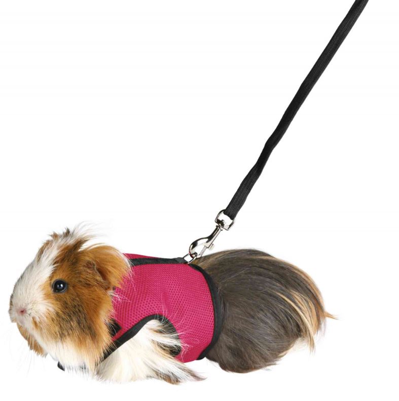 TRIXIE Soft Harness with Lead Мягкая шлейка для мелких животных - фото2