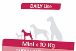 MINI : собаки мелких пород (вес 2 до 10 кг)