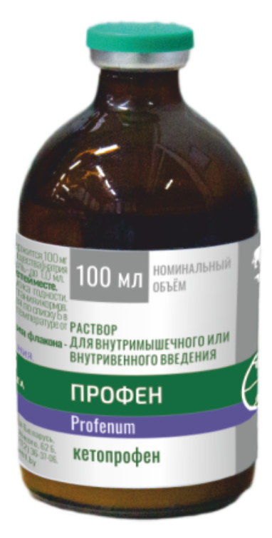 КЕТОПРОФЕН-Рн раствор для инъекций (100 мл) Рубикон (Кетопрофен 100 мг) - фото2