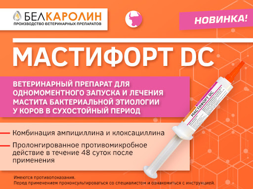 МАСТИФОРТ DC Суспензия для внутрицистернального применения (шприц 10 г) Белкаролин (Ампициллин + клоксациллин) - фото3