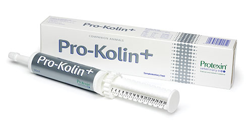 ПРОКОЛИН (Про-колин+) Кормовая добавка для собак и кошек (60 мл) Protexin - фото2