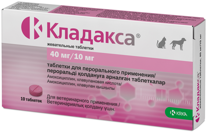 КЛАДАКСА Таблетки жевательные 10 шт (40 мг/10 мг) KRKA (Амоксициллин + клавулановая кислота) аналог Синулокса - фото2