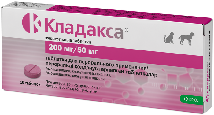 КЛАДАКСА Таблетки жевательные 10 шт (200 мг/50 мг) KRKA (Амоксициллин + клавулановая кислота) аналог Синулокса - фото2