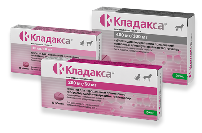 КЛАДАКСА Таблетки жевательные 12 шт (400 мг/100 мг) KRKA (Амоксициллин + клавулановая кислота) аналог Синулокса - фото