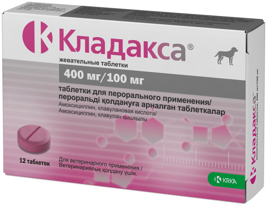 КЛАДАКСА Таблетки жевательные 12 шт (400 мг/100 мг) KRKA (Амоксициллин + клавулановая кислота) аналог Синулокса - фото2