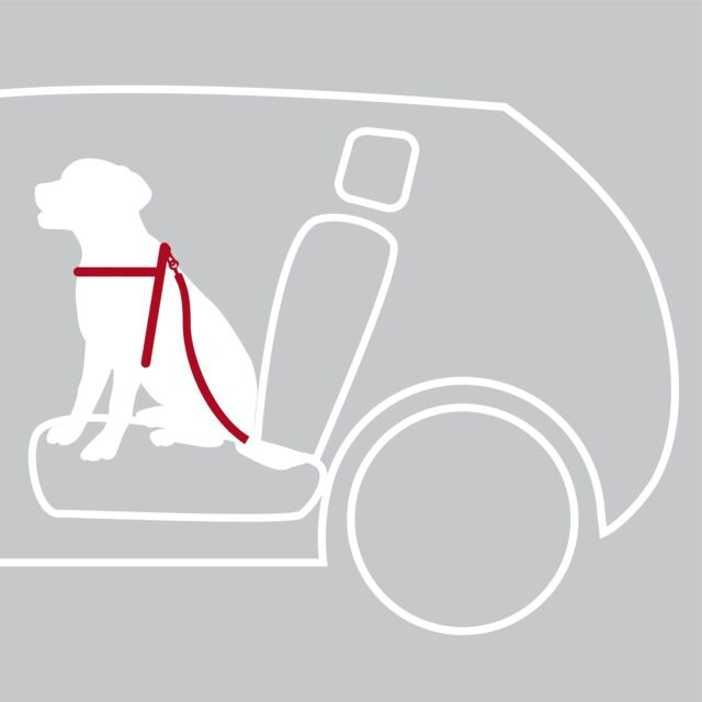 TRIXIE Safety Belt  for Dogs (размер XS) Ремни безопасности для собак, шлейка + ремень - фото4