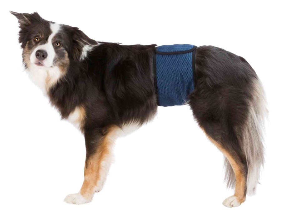 TRIXIE Nappies for Male Dogs Подгузники-пояс для кобелей, многоразовый (размер M, 45 - 55 см) - фото