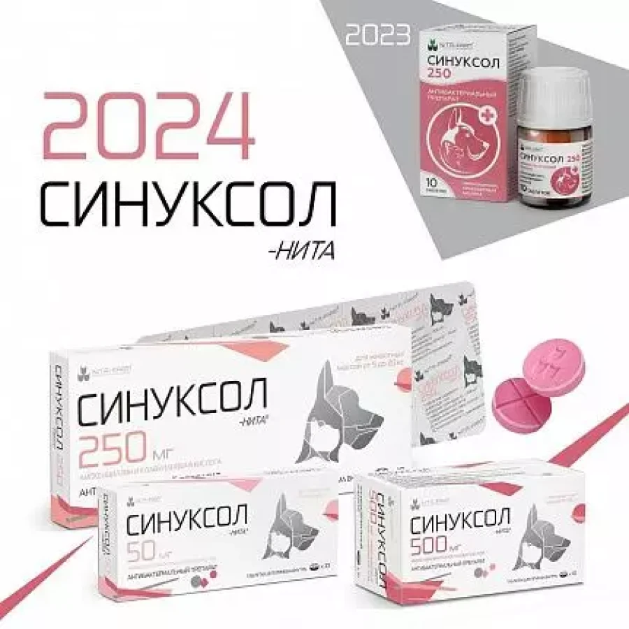 СИНУКСОЛ-Нита Таблетки 250 мг (10 шт) Nita-farm (Амоксициллин + клавулановая кислота) - фото2
