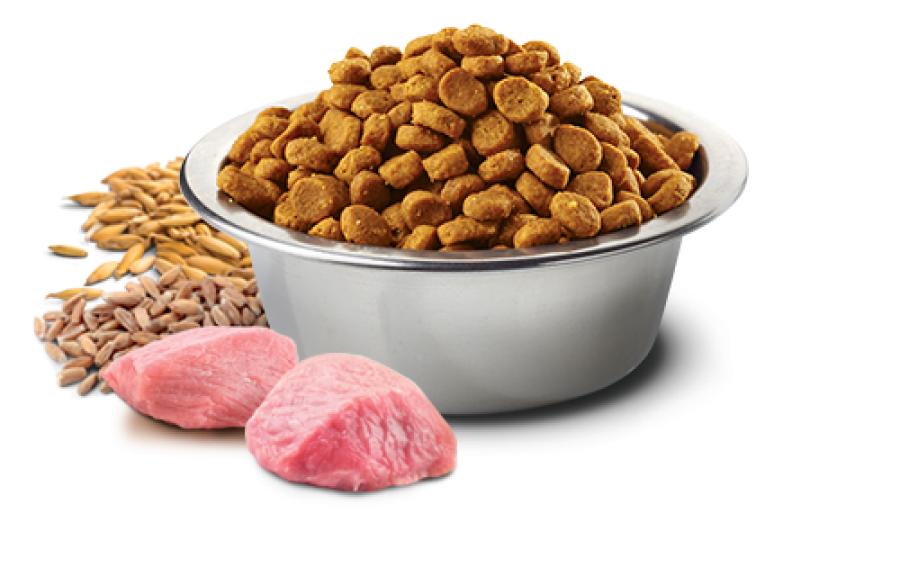 FARMINA N&D LG CAT Tropical Selection NEUTERED Chicken (300 г) с курицей и фруктами для взр. стер. кошек - фото2