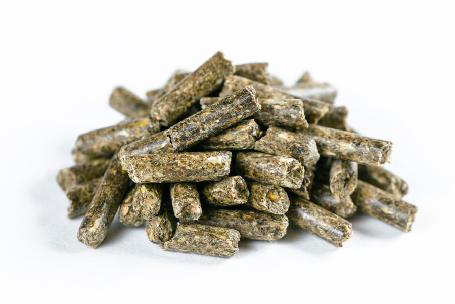 ЗВЕРЮШКИ Корм для шиншилл (450 г) Зоомир - фото2