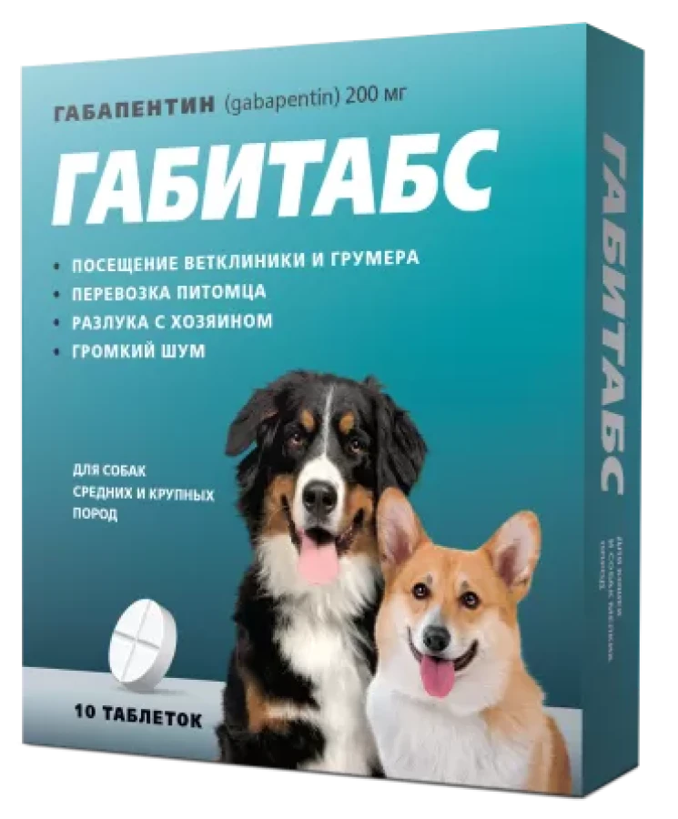 ГАБИТАБС для собак средних и крупных пород (10 таблеток) Api (габапентин 200 мг) - фото