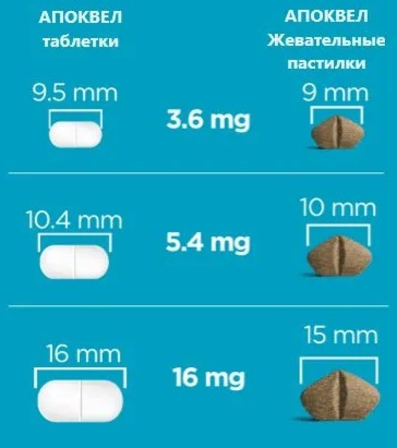 АПОКВЕЛ APOQUEL (Оклацитиниб) жевательные таблетки в блистерах (1 блистер х 16 мг, 10 таблеток) Zoetis   - фото3