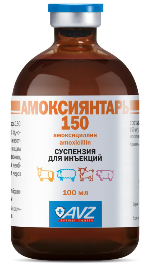 АМОКСИЯНТАРЬ 150 Суспензия для инъекций (100 мл) АВЗ (амоксициллин 150 мг + янтарная кислота) - фото2, картинка2 АМОКСИЯНТАРЬ 150 Суспензия для инъекций (100 мл) АВЗ (амоксициллин 150 мг + янтарная кислота) - фото2