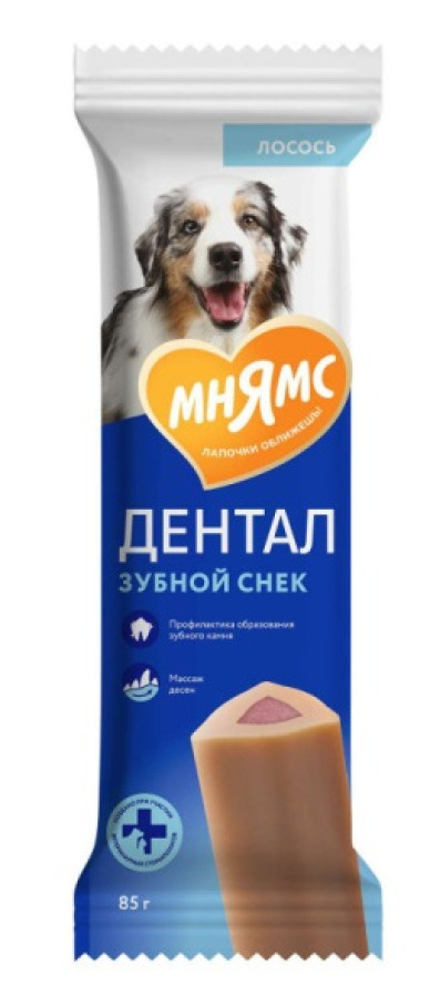 МНЯМС Dental 