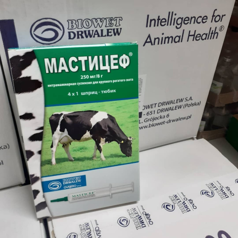 МАСТИЦЕФ Интрацистернальная суспензия (1 шприц х 8 г) Biowet Drwalew - фото2