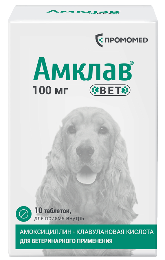 АМКЛАВ ВЕТ Таблетки для приема внутрь 100 мг (баночка 10 шт) Промомед (Амоксициллин 100 мг + Клавулановая кислота 25 мг) - фото