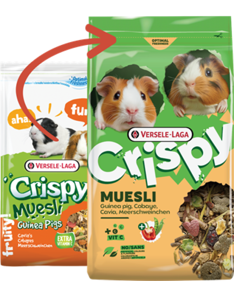 VERSELE-LAGA Crispy Muesli Guinea Pig (850 г) Корм для морских свинок - фото3