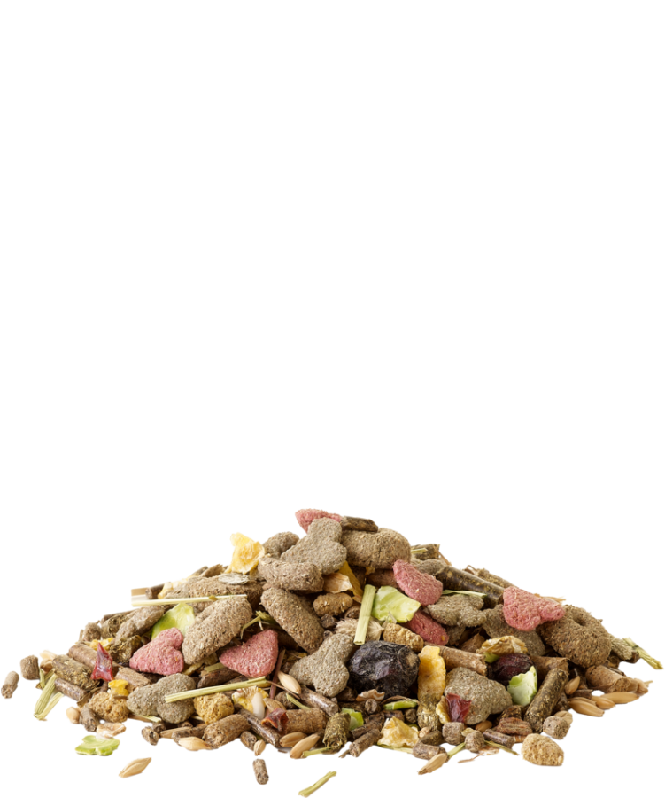 VERSELE-LAGA Crispy Muesli Guinea Pig (850 г) Корм для морских свинок - фото4