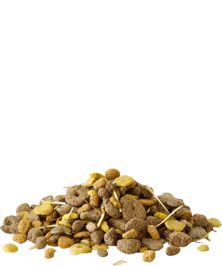 VERSELE-LAGA CRISPY Snack Fibres (550 г) Дополнительный корм для грызунов  - фото4