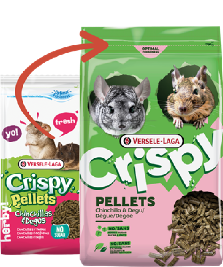VERSELE-LAGA Crispy Pellets Chinchilla and Degu (1 кг) NEW Гранулированный корм для шиншилл и дегу - фото3