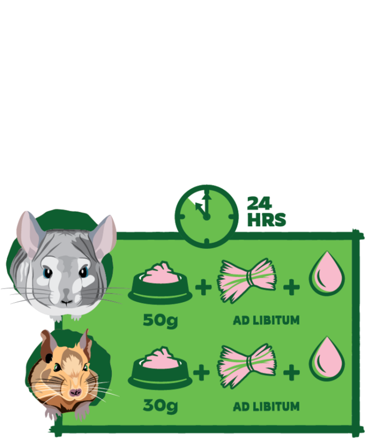 VERSELE-LAGA Crispy Pellets Chinchilla and Degu (1 кг) NEW Гранулированный корм для шиншилл и дегу - фото5