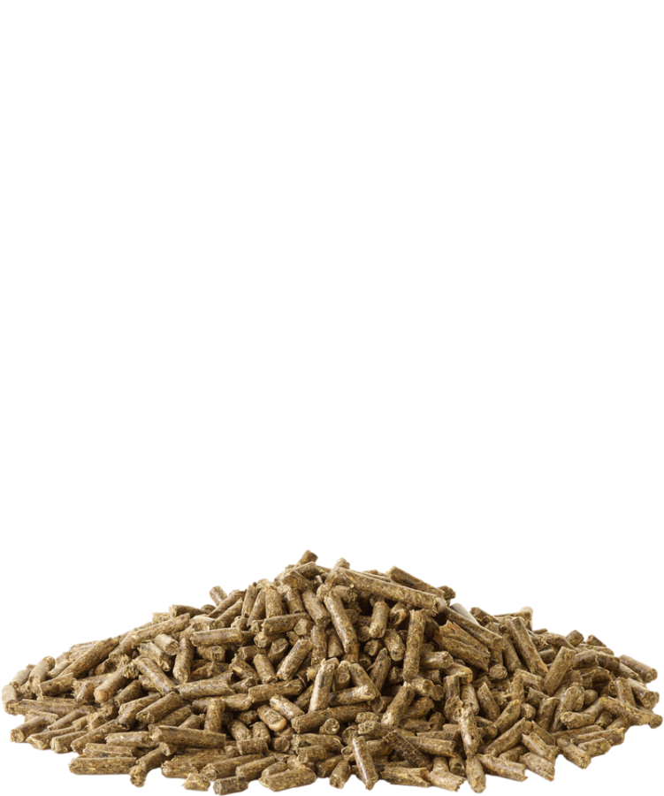 VERSELE-LAGA Crispy Pellets Chinchilla and Degu (1 кг) NEW Гранулированный корм для шиншилл и дегу - фото4