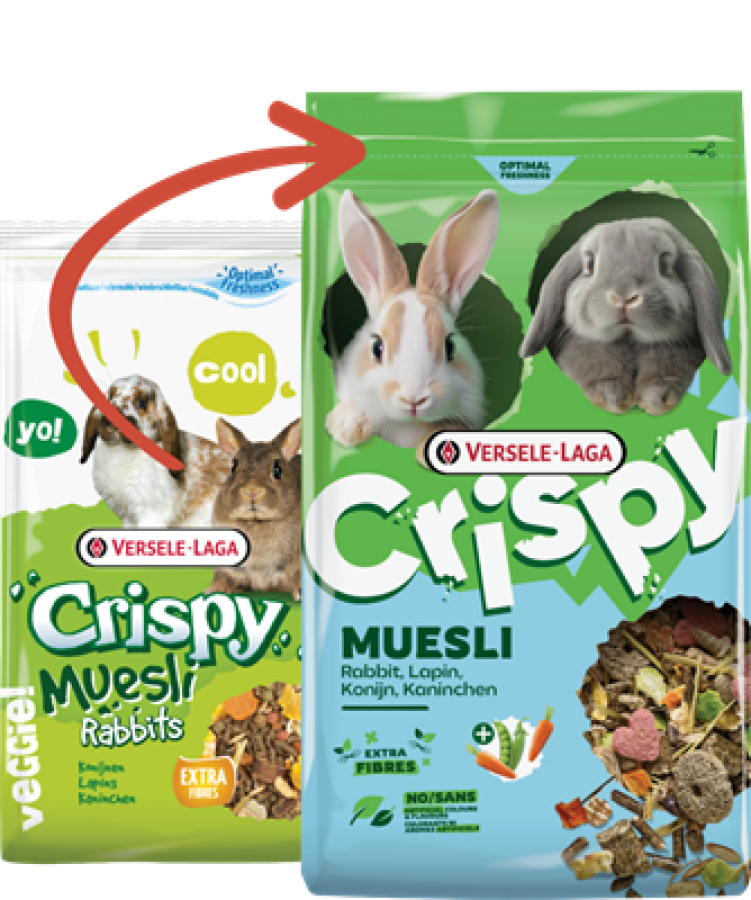 VERSELE-LAGA Crispy Muesli Rabbits (20 кг) Корм для кроликов - фото2