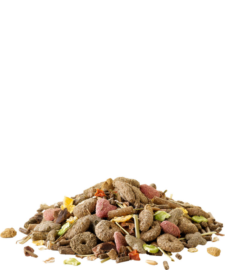 VERSELE-LAGA Crispy Muesli Rabbits (20 кг) Корм для кроликов - фото3