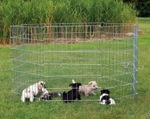 TRIXIE Enclosure for Puppies Вольер для щенков, металл (8 секций) - фото