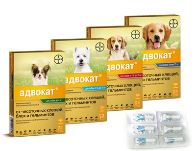 АДВОКАТ (ADVOCATE) Капли на холку для собак массой 10 - 25 кг (1 пипетка х 2,5 мл) Bayer-Elanco (Имидаклоприд 10% + моксидектин 2,5%) - фото2