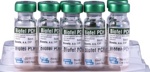 БИОФЕЛ PCH Вакцина для кошек, 1 фл = 1 доза, Bioveta - фото