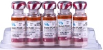 БИОФЕЛ PCHR Вакцина для кошек, 1 фл = 1 доза, Bioveta - фото